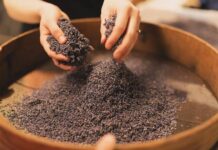 Growing agritourism on Island