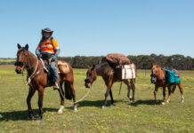 Linda takes on National Trail