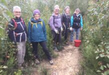 Friends of Parks KI Western Districts volunteers attack encroaching native vegetation