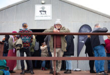 Adelaide Guitar Festival bringing shows, pop-ups to Kangaroo Island