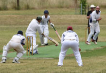 Three sets of siblings take to field for MacGillivray Hawks