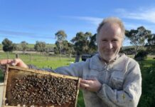 Detection response, transition management plan for Varroa mite in SA