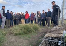 Island Arks Symposium statement: National Island Collective for Biodiversity and Cultural Conservation