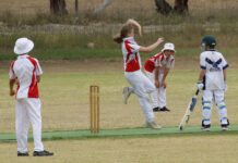 Roosters beat Hawks in junior cricket