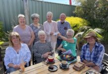 American River Community Garden gets a boost, heritage grafts doing well