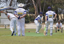 Senior cricket action from Wisanger: PHOTOS