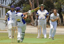 Panthers defeat Dogs on home turf