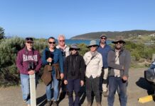 Island’s glossy black-cockatoo population remains steady