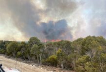 National Parks undertakes record spring hazard reduction burns on KI
