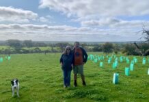 Planting seeds of success on KI one step at a time