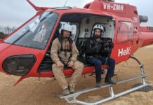 Hitting target for feral pig eradication helps KI bushfire recovery