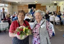 Dianne Hoffman, Kerry Brinkley named KI’s joint citizens of year