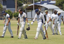 Kingscote Dogs host MacGillivray Hawks cricketers: PHOTOS