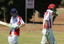 Parndana Roosters victorious at home against Hawks: PHOTOS