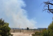 Scrub fire at Karatta brought under control, burns 92 hectares