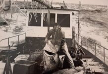 Award-winning photo of a big fish from Kangaroo Island
