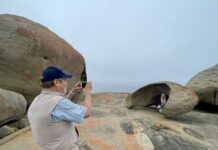 Care for Kangaroo Island’s coastline and marine parks