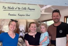 Local family are new guardians for Penneshaw’s penguins