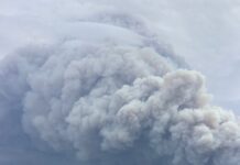 Climate crisis in action: hot, dry conditions fuel winter LA fires