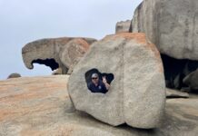 National Parks’ February Park of Month for SA is Kangaroo Island