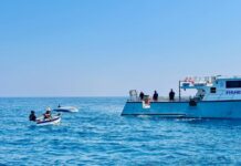 Fisheries’ boarding practice questioned after Tacoma incident at Port Lincoln