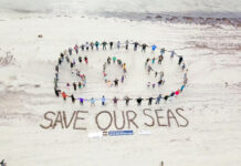 Renewed push to declare Great Australian Bight a World Heritage Site