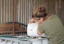 Free workshop to help KI land managers make biofertilisers