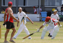 Parndana bats against Kingscote in Kangaroo Island cricket: PHOTOS