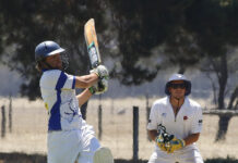 Cricket action out at Wisanger: PHOTOS