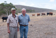 Rural Aid: Supporting South Australian farmers through drought and beyond