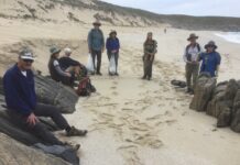 What’s happening with the western Friends of Parks on Kangaroo Island?