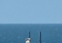 One and All tall ship spotted at Penneshaw returning from Tasmania