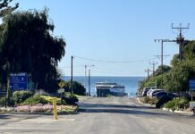 SA Power Networks washes power lines, record dry impacts on infrastructure