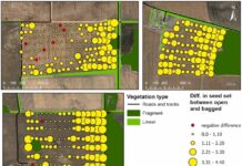 Native vegetation enhances crop pollination: UniSA study