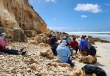 KI Walking Club tramps from Flour Cask to D’Estrees Bay