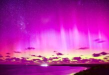 The wonderful nighttime photography of KI’s Linda Irwin