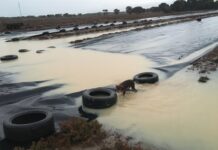A KI case study of harvesting water using plastic sheets at Western Cove