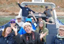 Letter: KI Marine Adventures ranked Top 10 Ethical Wildlife experiences in world