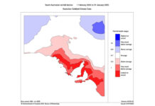 Federal Member alarmed as residents run out of water in record dry