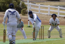 Dogs host Hawks in Kangaroo Island cricket: PHOTOS