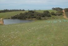 Illegal dams the focus of new compliance campaign on Kangaroo Island