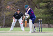 Macauley top scores in semi final loss