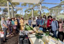 Parndana harvest exchange going strong, one of five on KI