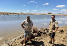 Dam water access provides ‘much-needed relief’: Pengilly