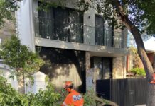 Heat stress in trees pose dangers