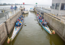 Dragons unite on the Coorong for paddling prowess