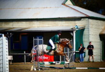Action from State Championships One Day Event at KI Pony Club: PHOTOS