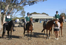 KI Pony Club hosts memorable state championships event