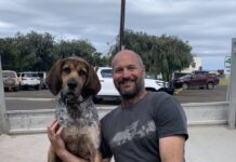 Removing the final 150 feral cats from Dudley Peninsula