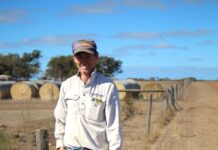 Landscape Board’s Grassroot Grants available for KI landholders
